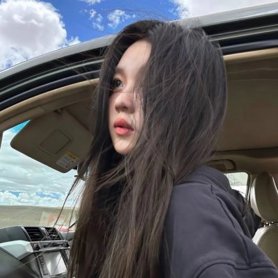 风流总统 海报